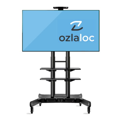 location tv support ozlaloc.png