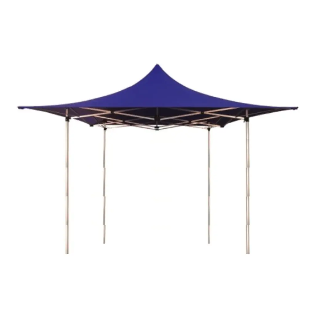 location barnum parasol.png location barnum parasol.png